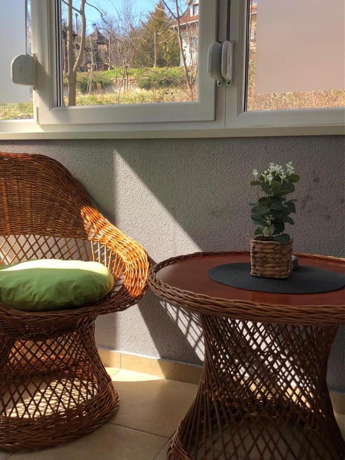 Apartman Radmanovac 2 Vrnjačka Banja Exterior foto